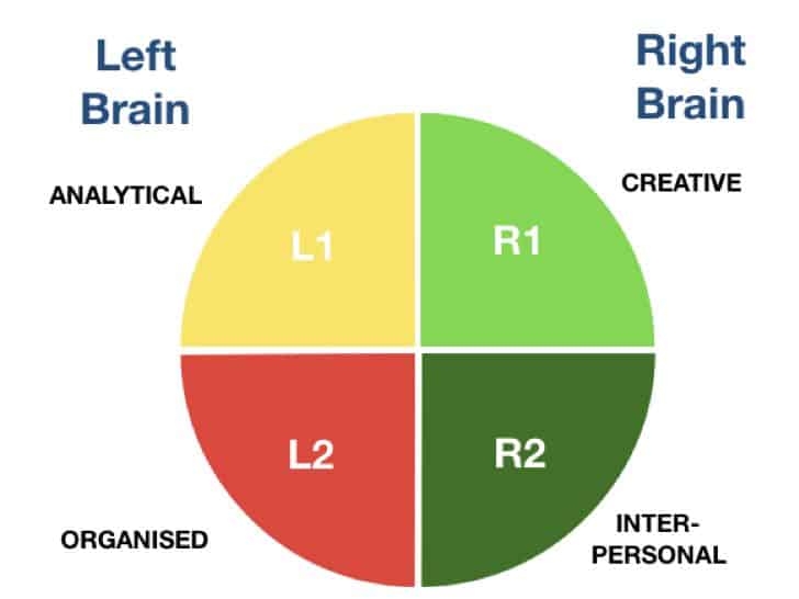 Four Quadrant of brain