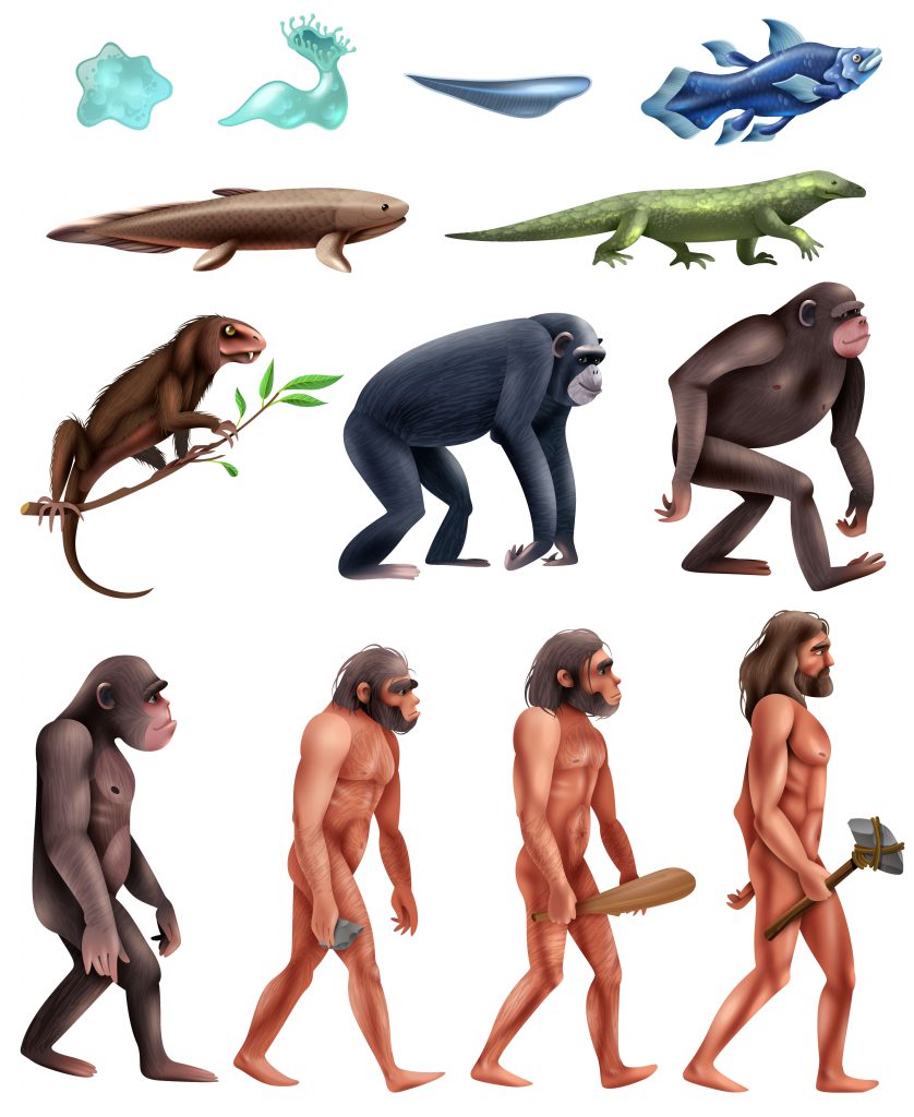 Evolution of Consciousness 