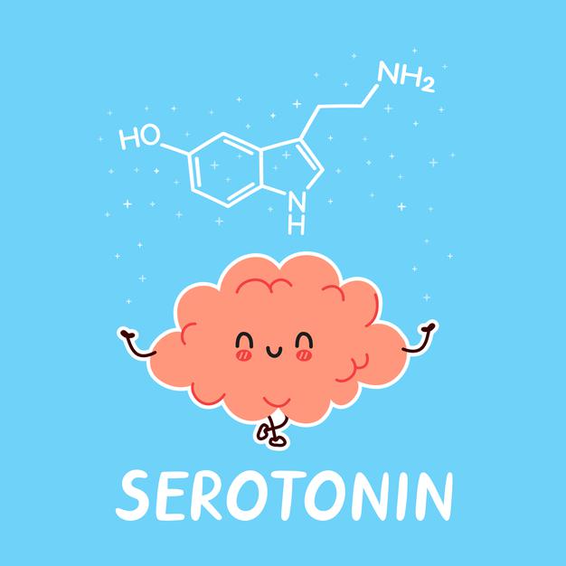 Serotonin: Happy Chemical in Brain